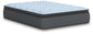 Destin Cove PT California King Mattress